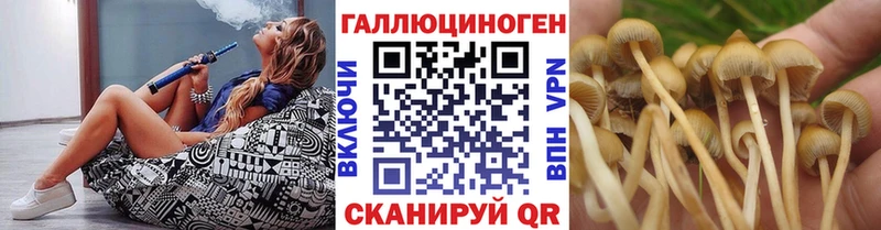 Купить  Шарыпово  Галлюциногенные грибы прущие грибы 
